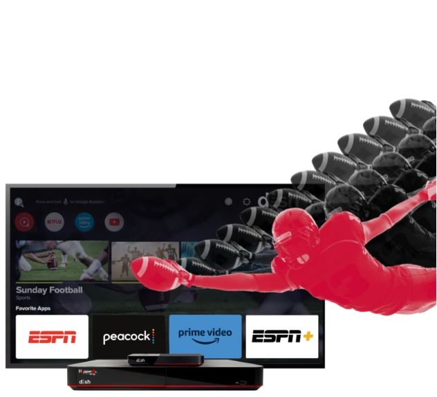 DISH Sports Interface